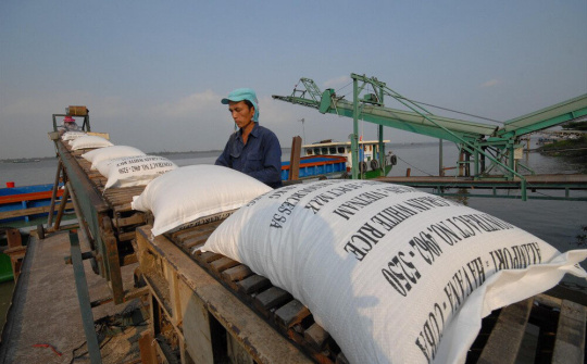 Nhiều doanh nghiệp gạo bỏ trúng thầu dự trữ sang xuất khẩu