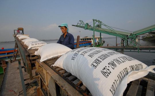 Nhiều doanh nghiệp gạo bỏ trúng thầu dự trữ sang xuất khẩu