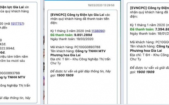 Gia Lai: Nhiều hộ dân và doanh nghiệp tại huyện Đức Cơ, bất ngờ vì hóa đơn tiền điện tăng gấp đôi