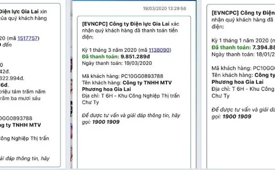 Gia Lai: Nhiều hộ dân và doanh nghiệp tại huyện Đức Cơ, bất ngờ vì hóa đơn tiền điện tăng gấp đôi