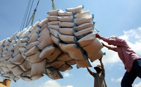 Lập đoàn kiểm tra liên ngành nắm tình hình về lượng gạo tại các cảng