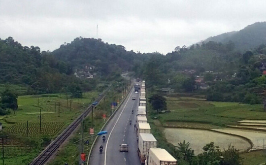 Tập trung giải phóng hàng nông sản xuất khẩu tồn đọng tại cửa khẩu