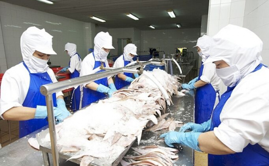 Covid-19: Chưa có tín hiệu khả quan khi xuất khẩu sang thị trường Mỹ và EU