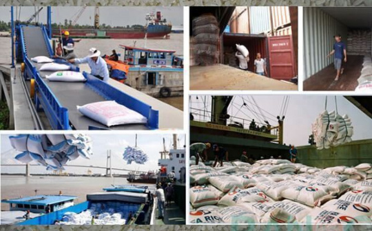 Tổng cục Hải quan tạo điều kiện tối đa trong kiểm tra gạo xuất khẩu
