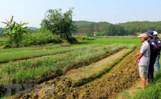 Nhiều diện tích canh tác ở Trung bộ sẽ không đủ nguồn nước tưới