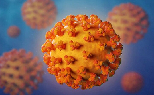 Tìm ra protein giúp nCoV trốn hệ miễn dịch nhằm tìm ra phương pháp chữa bệnh hiệu quả