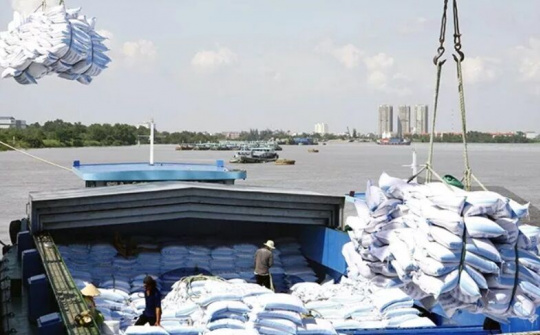 Sớm giải quyết những bất cập trong xuất khẩu gạo