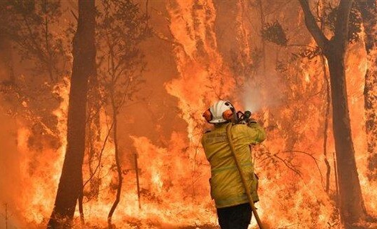 Cháy rừng tại Australia gây ra 830 triệu tấn CO2 vào khí quyển