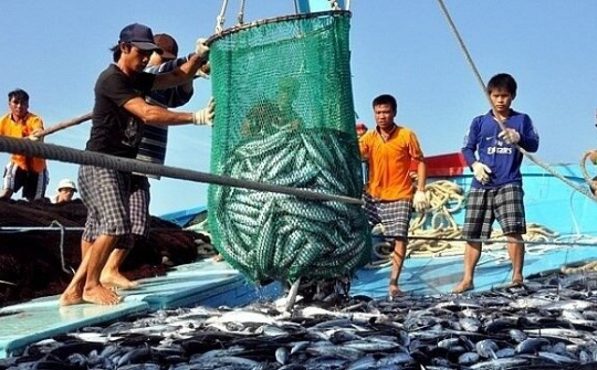 Chuẩn bị những “đòn bẩy” khôi phục thủy sản sau đại dịch