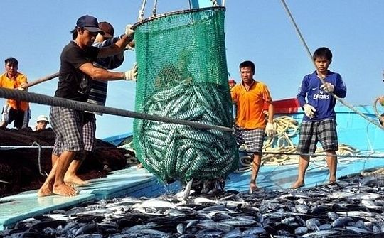 Chuẩn bị những “đòn bẩy” khôi phục thủy sản sau đại dịch