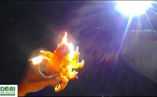 Lý Sơn - Hành động vì môi trường biển đảo