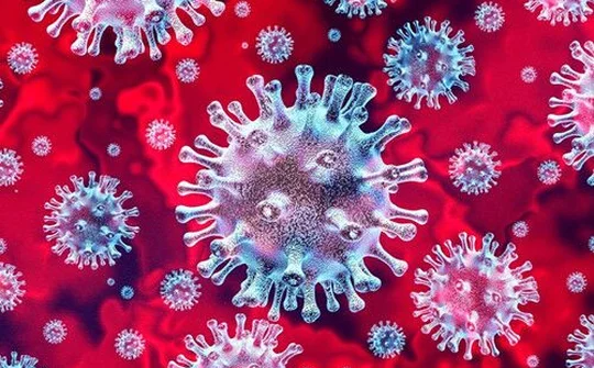 Hợp tác công - tư trong chống virus corona