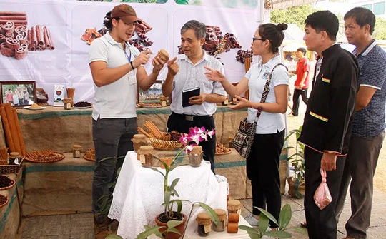 Yên Bái: Đẩy mạnh phát triển công nghiệp và dịch vụ