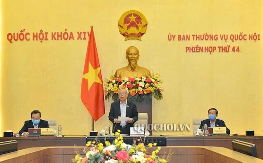 Nâng cao hơn nữa thực hiện chính sách, pháp luật phòng chống xâm hại trẻ em