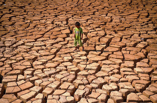 Đổi mới sáng tạo chống lại hạn mặn ở ĐBSCL