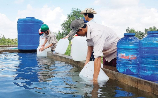 Bến Tre: Phòng chống hạn mặn cần giải pháp lâu dài