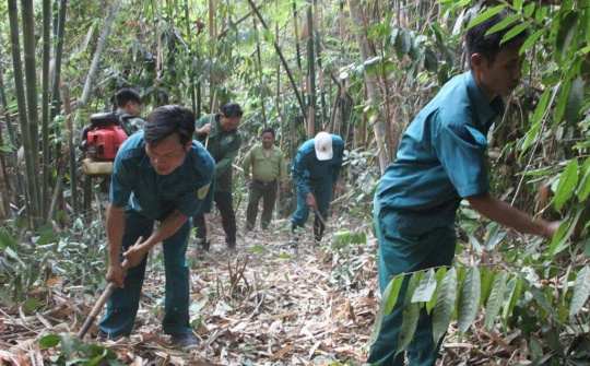 Nỗ lực giữ gìn lá phổi xanh Bù Gia Mập của miền Đông đất đỏ