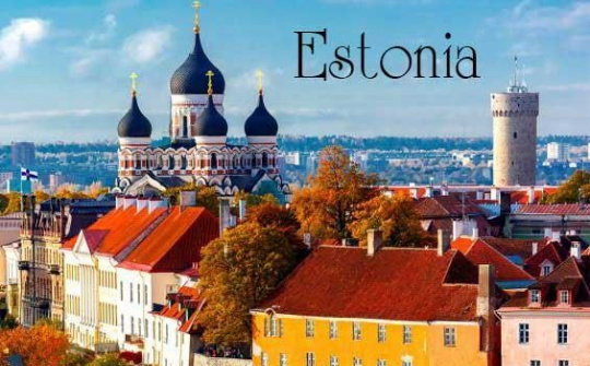 Việt Nam -  Estonia trao đổi hợp tác phòng chống Covid-19