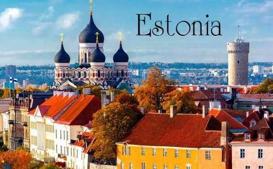 Việt Nam -  Estonia trao đổi hợp tác phòng chống Covid-19