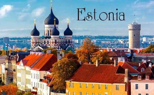 Việt Nam -  Estonia trao đổi hợp tác phòng chống Covid-19