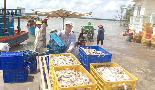 Đẩy mạnh kinh tế thông qua việc tận dụng cơ hội từ EVFTA