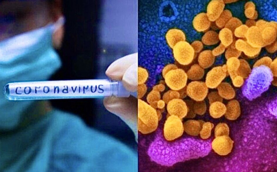 Đại dịch COVID-19: Góc nhìn từ vật lý và sinh học cấu trúc