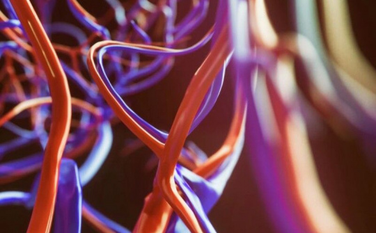 Khả năng chết người khác của SARS-CoV-2 ngoài viêm phổi