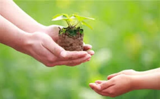 Tăng cường thanh kiểm tra đột xuất về bảo vệ môi trường