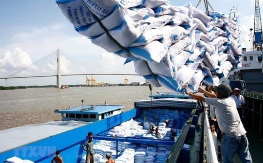 Doanh nghiệp nhanh tay nắm bắt cơ hội đấu thầu nhập khẩu gạo Hàn Quốc
