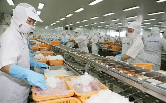 Áp lực thiếu đơn hàng của doanh nghiệp thủy sản