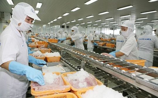Áp lực thiếu đơn hàng của doanh nghiệp thủy sản