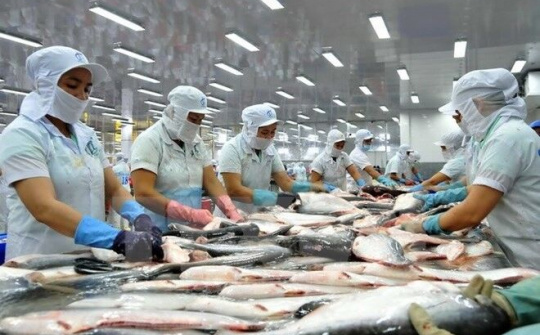 Trung Quốc mở lại thị trường cho cá tra Việt Nam sau tâm dịch