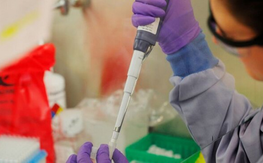 Giá trị của các kỹ thuật xét nghiệm phát hiện SARS-CoV-2