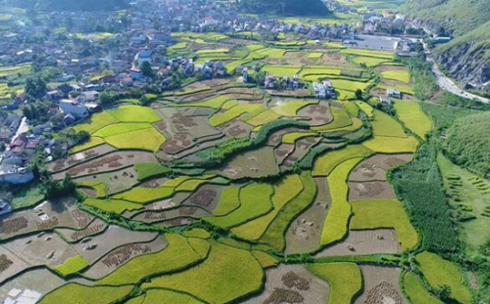 Quản Bạ: Thăng trầm 10 năm thực hiện Chương trình MTQG xây dựng NTM