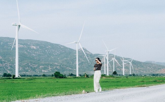 Đề xuất bổ sung gần 250 dự án điện gió vào quy hoạch