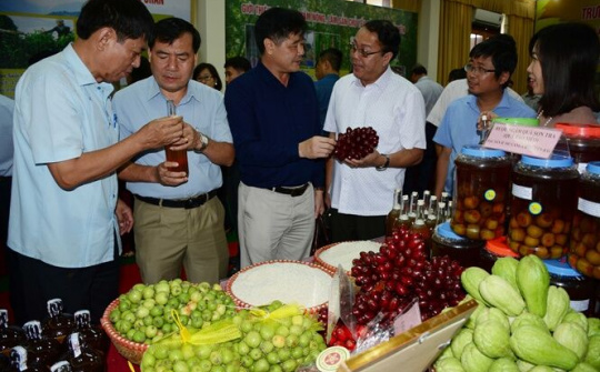 Yên Bái: Bước đột phá mới trong phát triển ngành nông nghiệp