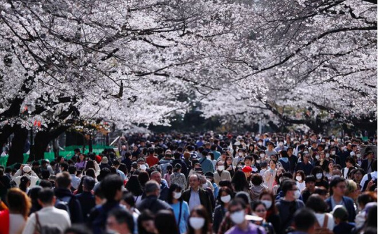 Nhật Bản đang làm chưa đủ để ngăn virus phát tán