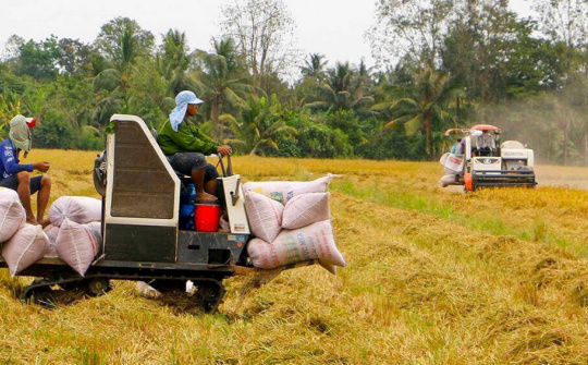 Nhiều cơ hội xuất khẩu gạo song phải kiểm soát chặt