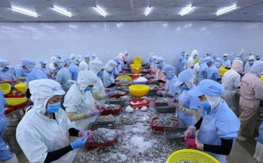 Doanh nghiệp dựa vào nguồn vốn ưu đãi lãi suất để duy trì hoạt động