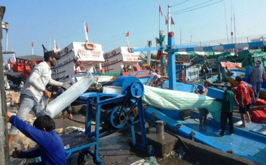 Ra khơi giữa mùa dịch