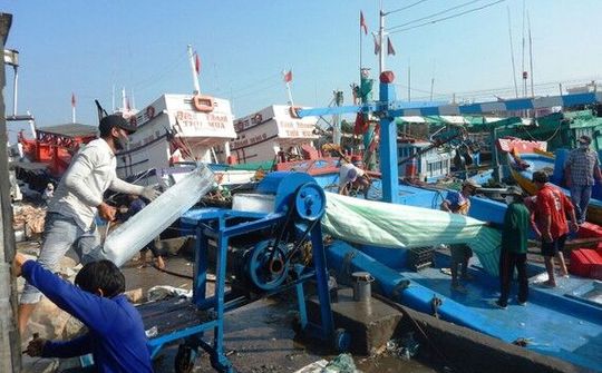 Ra khơi giữa mùa dịch