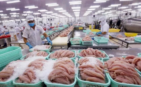 Kỳ vọng gì vào xuất nhập khẩu ở những tháng tới