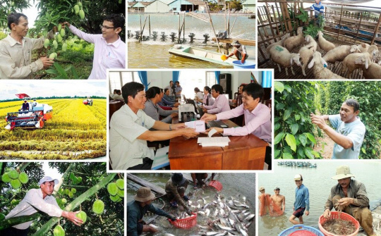 Đại dịch Covid – 19: Phản ứng chính sách cần công bằng và toàn diện