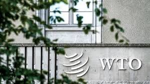 WTO hy vọng thương mại thế giới hồi phục trong năm 2021