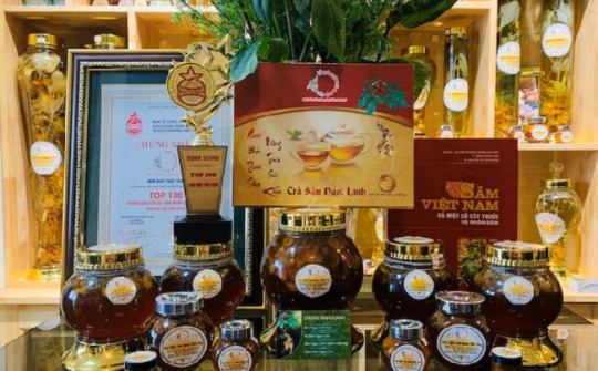 Từ đam mê đến ông chủ thương hiệu lớn về sâm Ngọc Linh