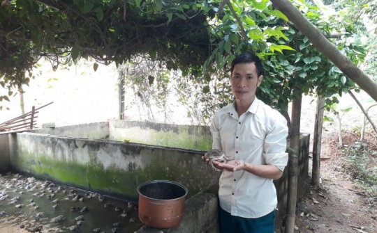 Khởi nghiệp trên mảnh đất quê hương