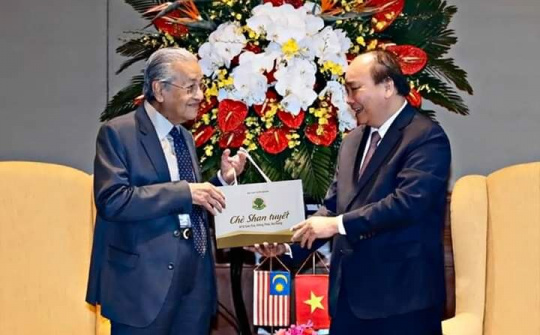 Chè Shan tuyến  Hồng Thái:  Đặc sản Na Hang, Tuyên Quang