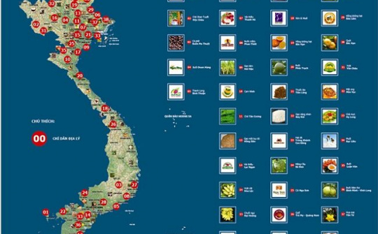 Vai trò của bảo hộ chỉ dẫn địa lý trong hội nhập kinh tế quốc tế
