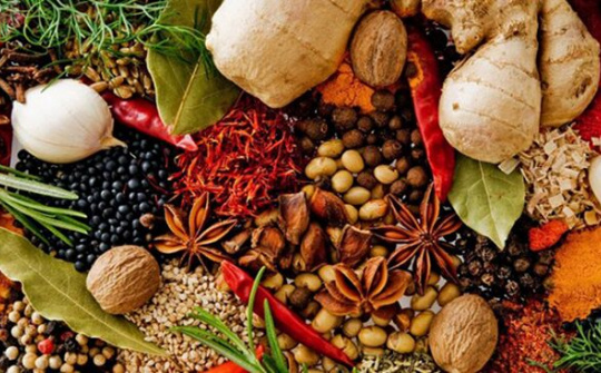 Đưa thảo mộc Việt Nam lên bàn tiệc thế giới