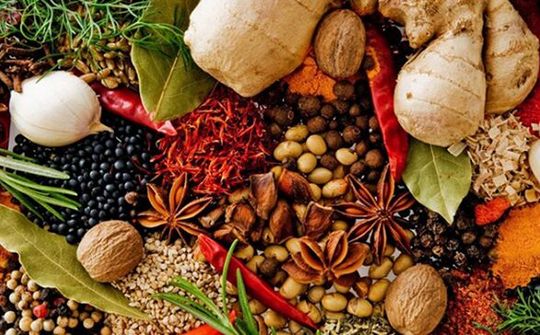 Đưa thảo mộc Việt Nam lên bàn tiệc thế giới